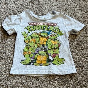 Nickelodeon Gray Tee with Colorful Turtle Design